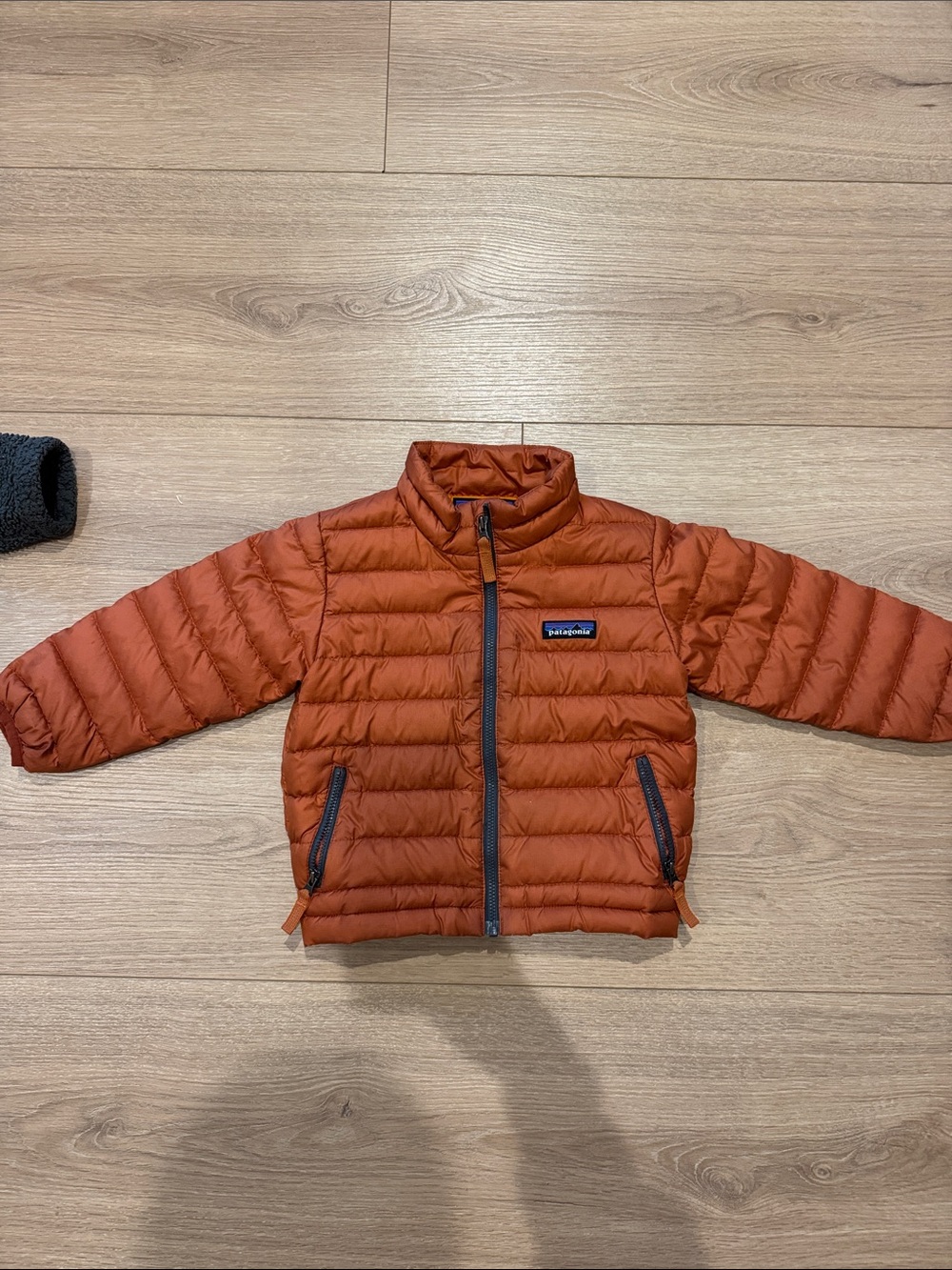 Patagonia Kids Rust Orange Down sweater Jacket 2T: boy or girl